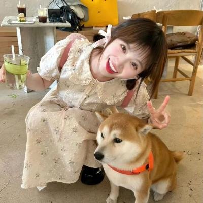夏日恋曲